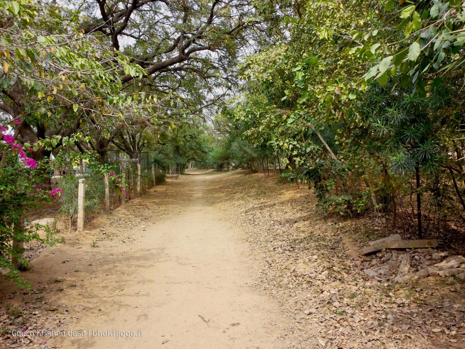  Pathways. 2018.03.14